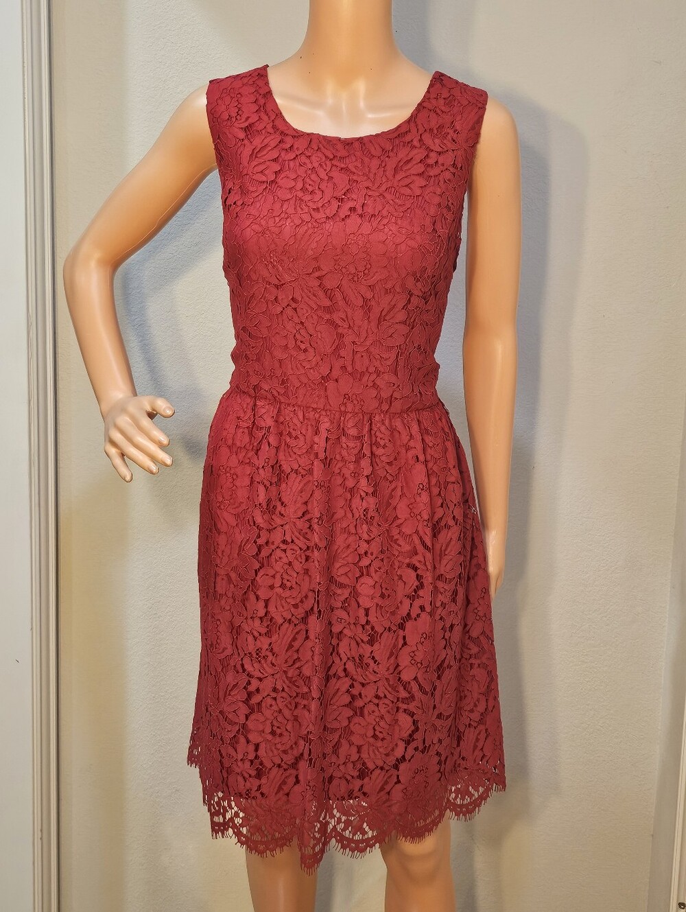 LOFT Sleeveless Lace Mini Dress in Wine
